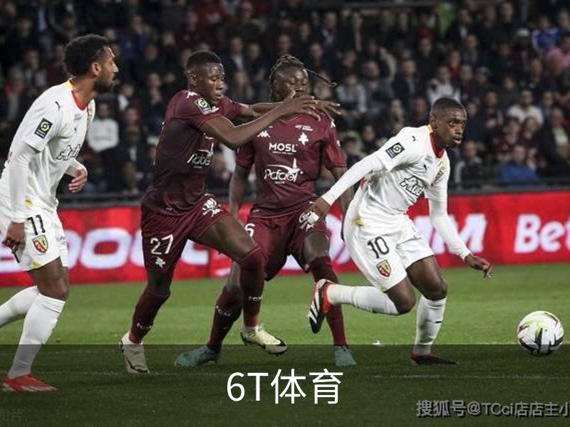 6T体育介绍